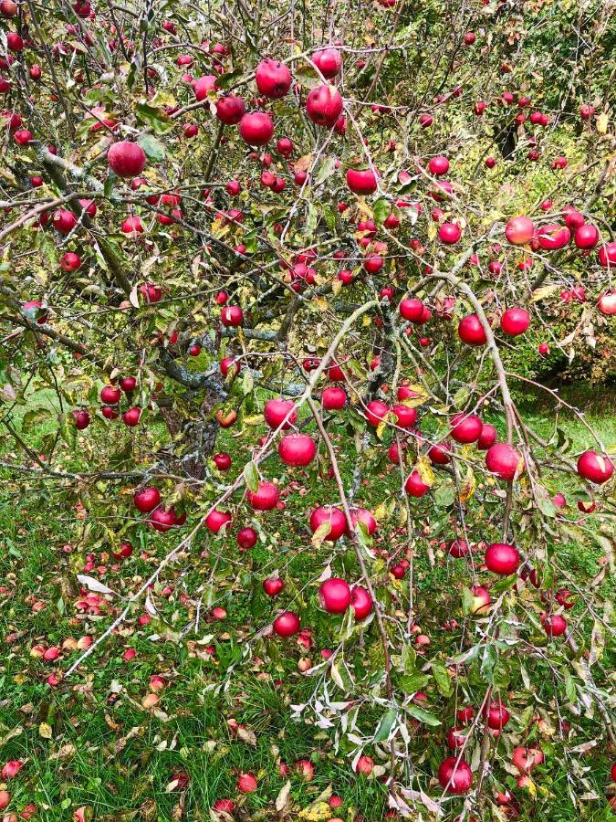 Villa Apple Tree House Lubin  Exterior foto