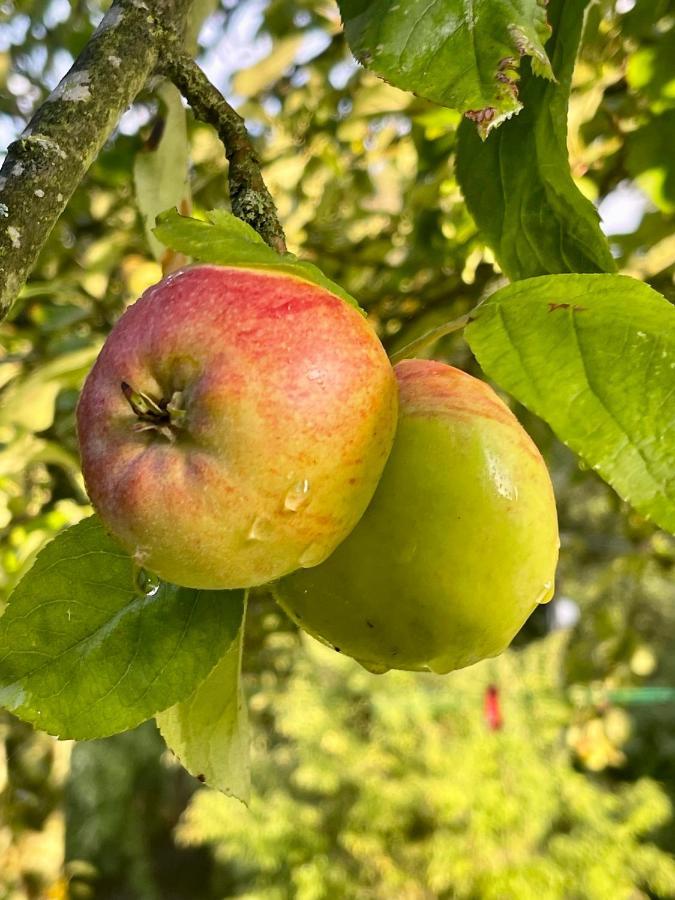 Villa Apple Tree House Lubin  Exterior foto